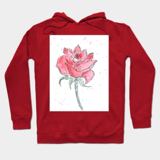 Red beautiful flower rose, plant, nature. Watercolor, art decoration, sketch. Illustration hand drawn modern painting Hoodie